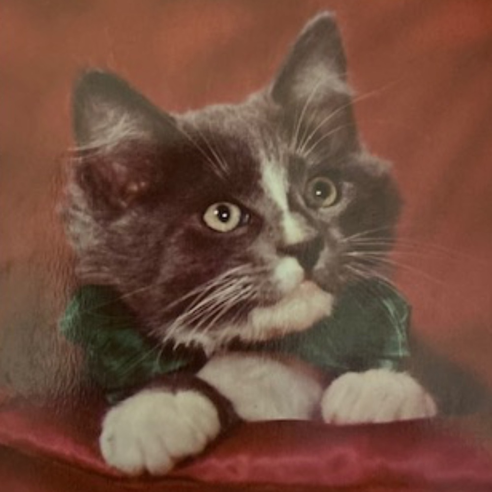 Vanity Fair Floor Length Nightgown~~Slip - Picture 12 of 12